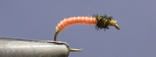 Thumbnail image for The Taser Bug